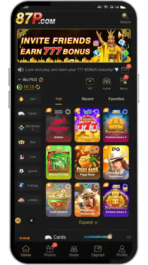 87P Game Interface
