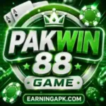 PAKWIN88 Game