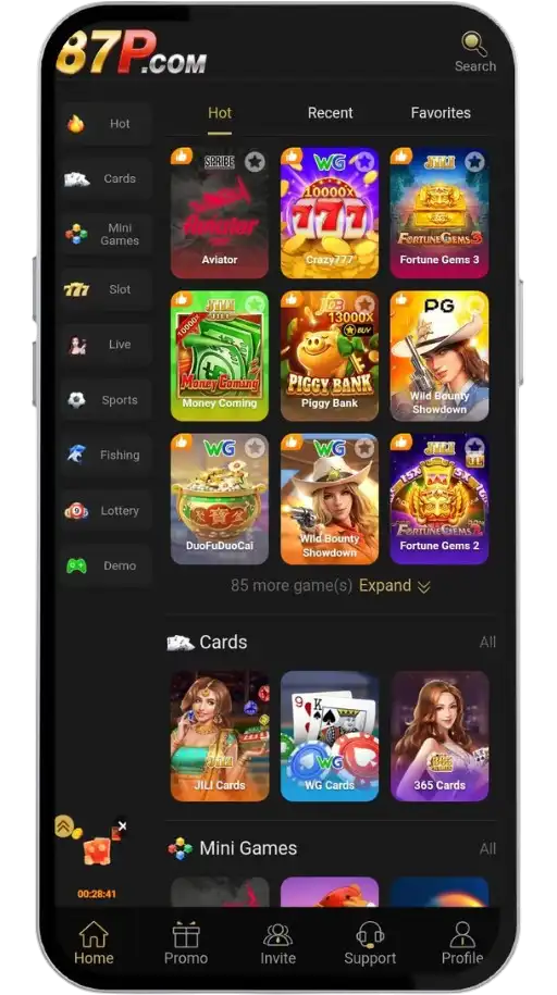 87P Interface