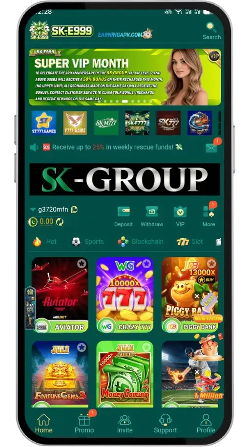 SKE999 Game Display