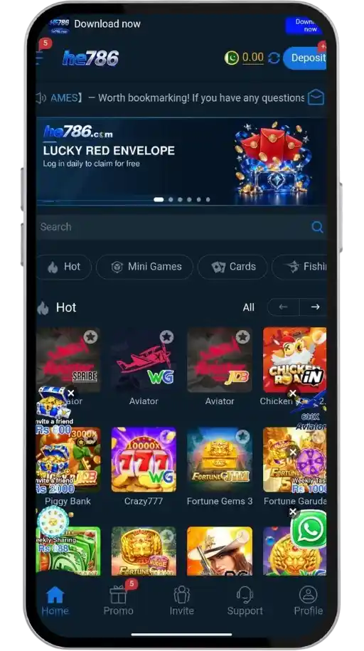 HE786 Game Interface